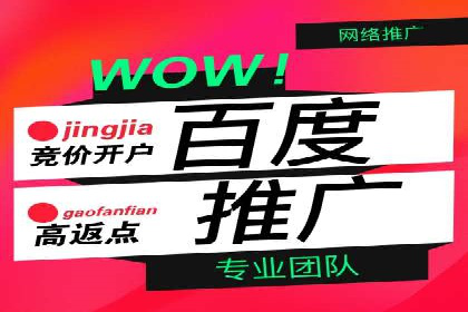百度竞价推广案例：实现企业业绩跨越式增长